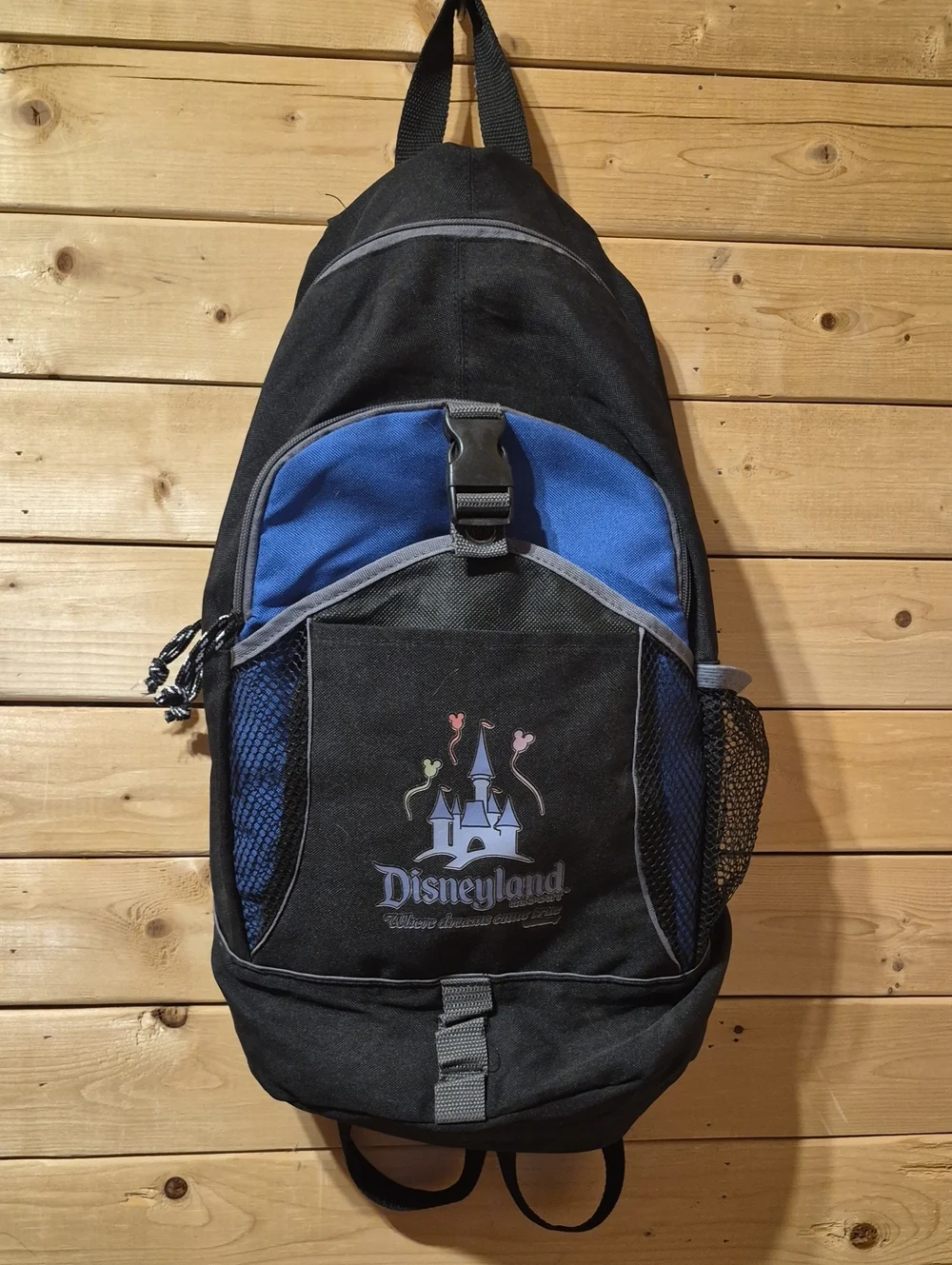 Disney Resort Backpack Where Dreams Come True